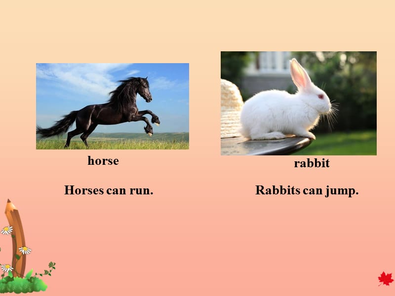 三年级英语下册Unit1AnimalsonthefarmLesson4HorsesandRabbits课件冀教版三起.ppt_第3页