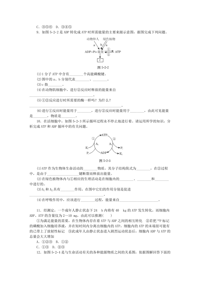 2019-2020年高中生物 第5章 第2节 细胞的能量“通货”-ATP同步练习（含解析）新人教版必修1.doc_第2页