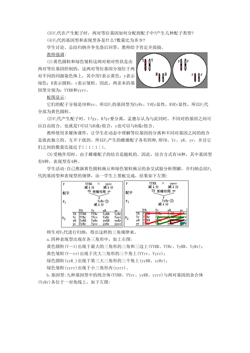 2019-2020年高中生物《孟德尔的豌豆杂交实验（二）》教案7 新人教版必修2.doc_第3页