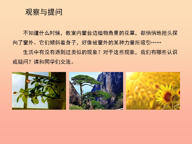 2019秋六年级科学上册 1.1《植物角里的科学问题》课件3 大象版.ppt_第3页