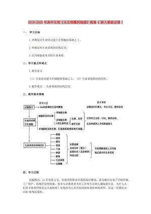 2019-2020年高中生物《從生物圈到細(xì)胞》教案4 新人教版必修1.doc