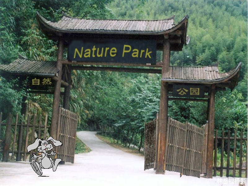 五年级英语上册 Unit6 In a nature park Part A Lets learn课件 人教PEP.ppt_第2页