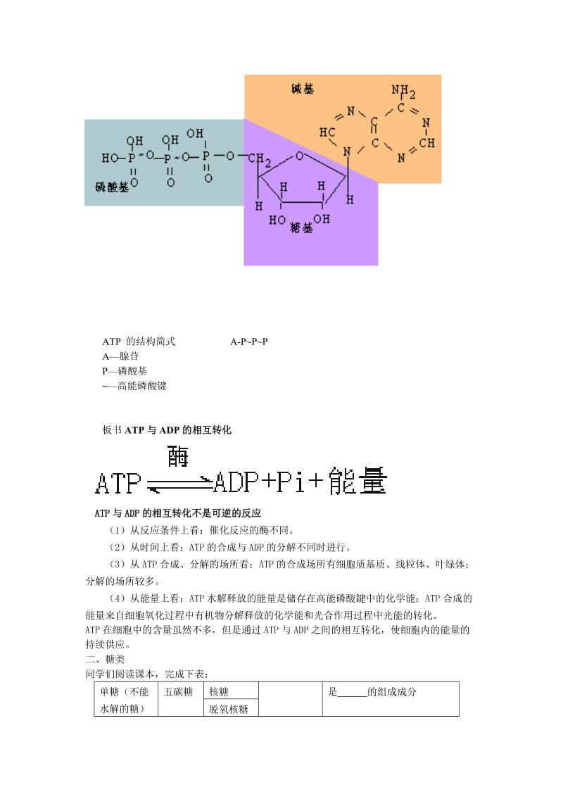 2019-2020年高中生物 细胞中的能源物质 教案1 中图版必修1.doc_第2页