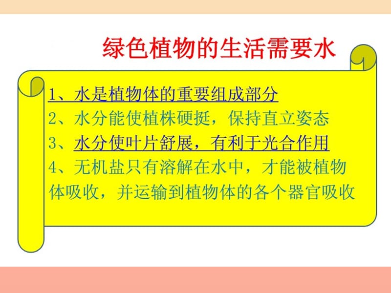 四年级科学上册 1.3 神奇的叶子课件2 湘教版.ppt_第2页