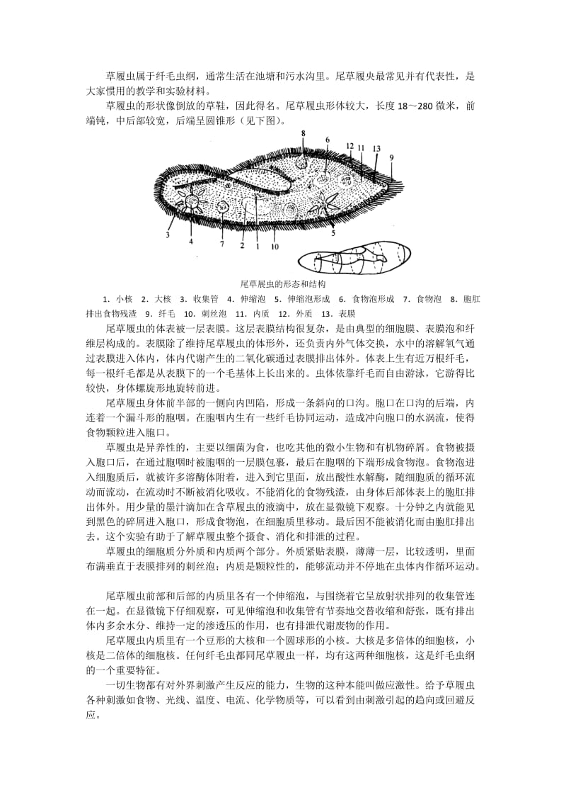 2019-2020年高中生物 第四讲 无脊椎动物竞赛辅导讲座.doc_第2页