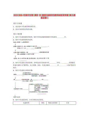 2019-2020年高中生物 課時20 捕獲光能的色素和結(jié)構(gòu)導(dǎo)學(xué)案 新人教版必修1.doc