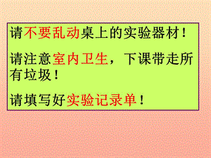 六年級生物上冊 第二單元 第一章 第一節(jié) 練習(xí)使用顯微鏡課件 魯科版（五四制）.ppt