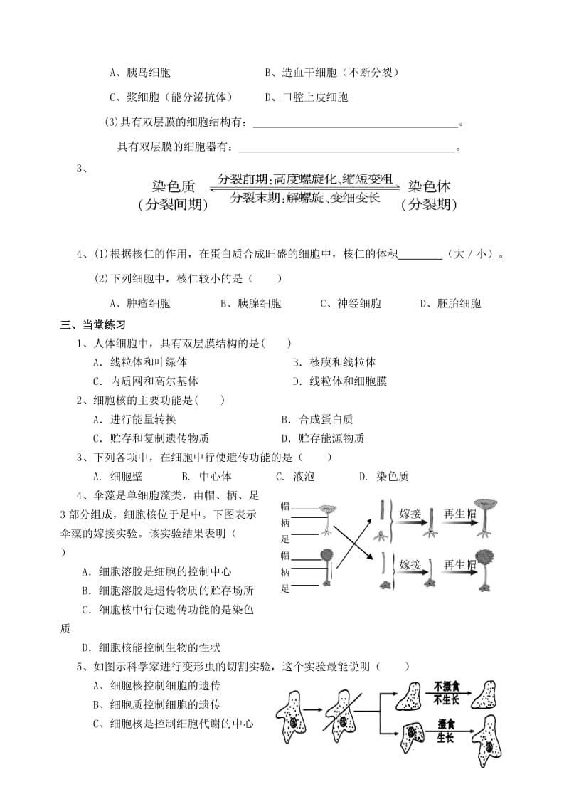 2019-2020年高一生物 第三章 第3节 细胞核-系统的控制中心学案.doc_第3页