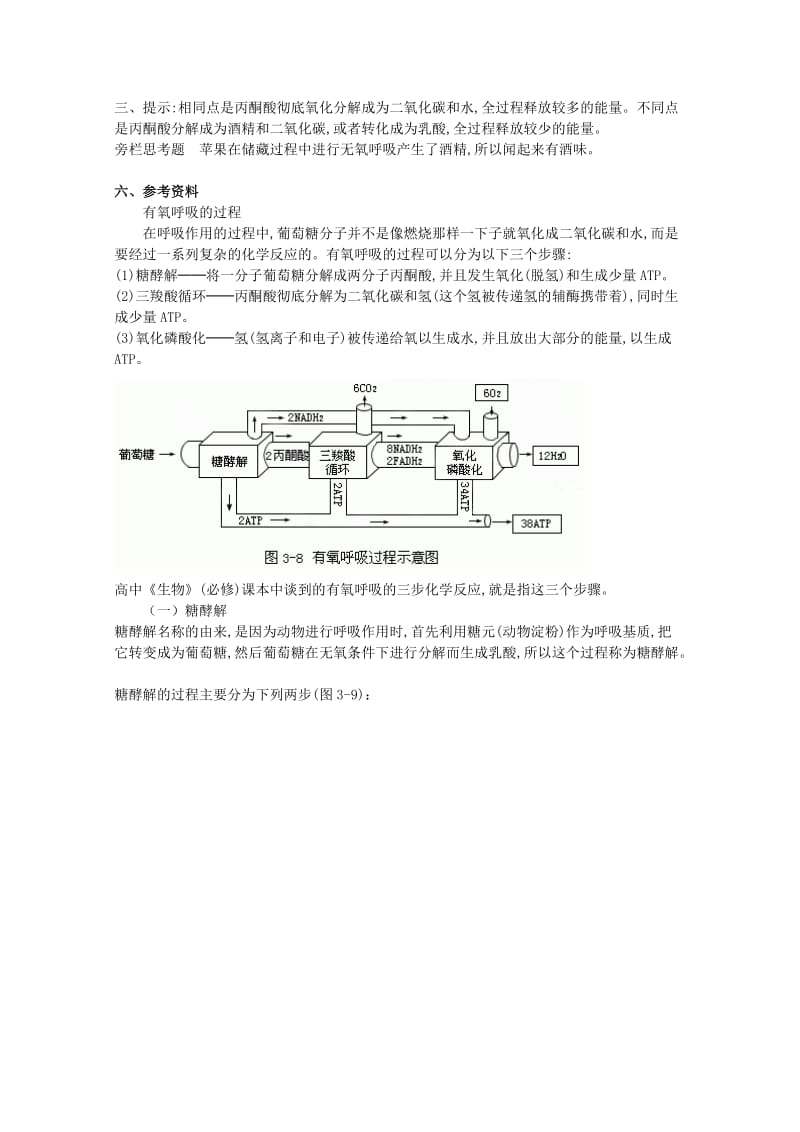 2019-2020年高中生物《细胞呼吸》教案1 苏教版必修1.doc_第2页