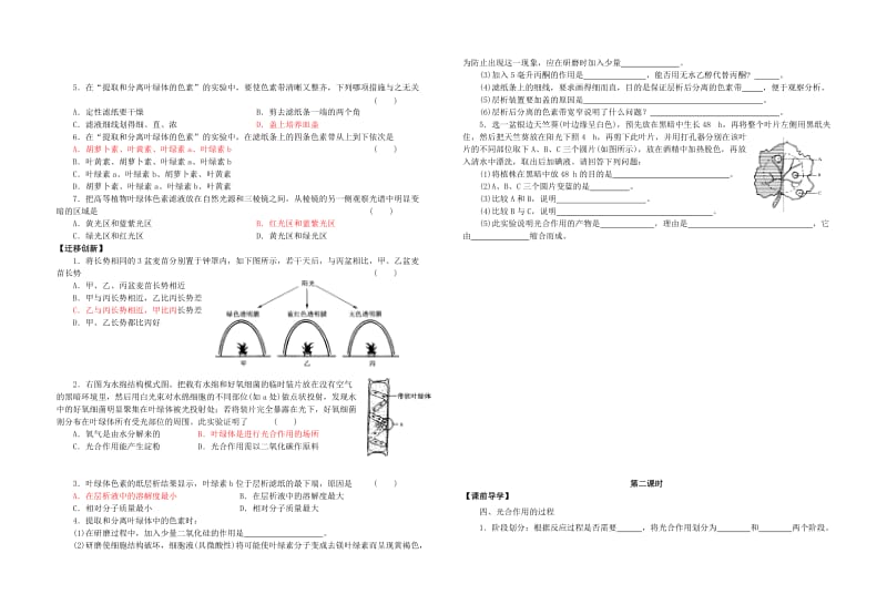 2019-2020年高中生物 13光合作用学案 苏教版必修1.doc_第2页