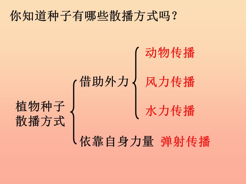 四年级科学下册 2 新的生命 4 把种子散播到远处课件3 教科版.ppt_第3页