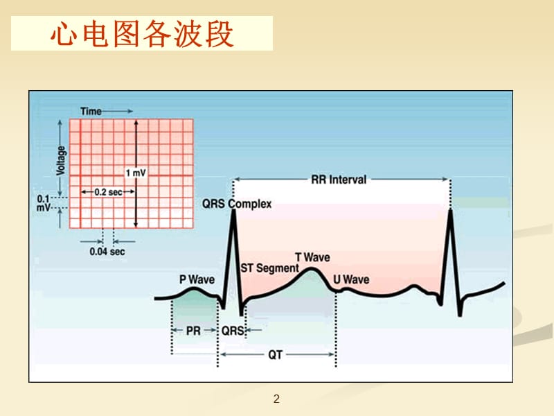 心电图岗前培训PPT课件_第2页