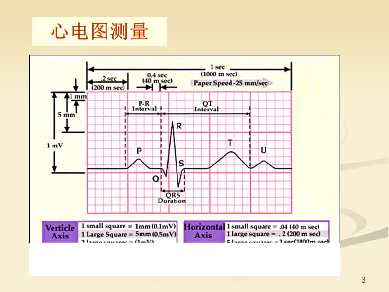 心电图岗前培训PPT课件_第3页