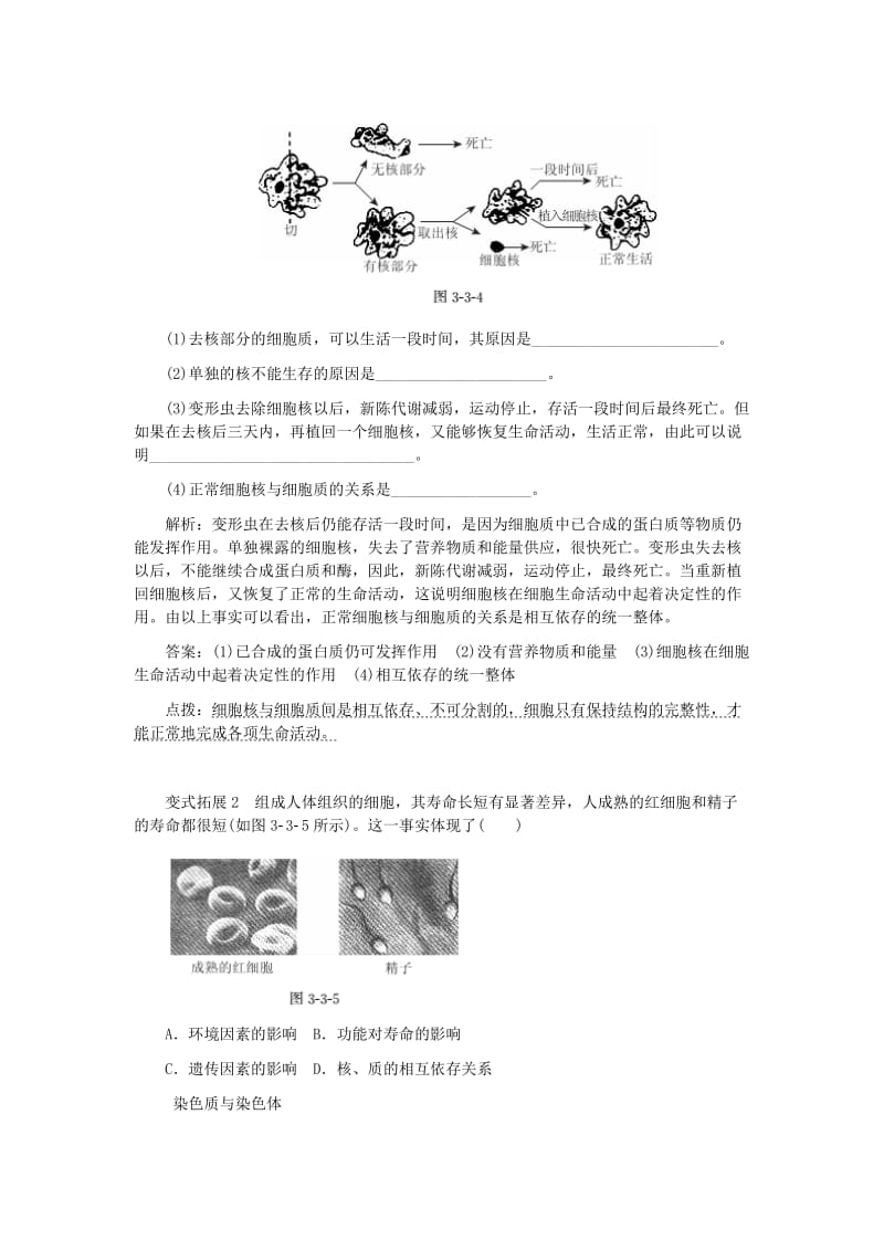 2019-2020年高中生物 第3章 第3节 细胞核-系统的控制中心典例精析 新人教版必修1.doc_第2页