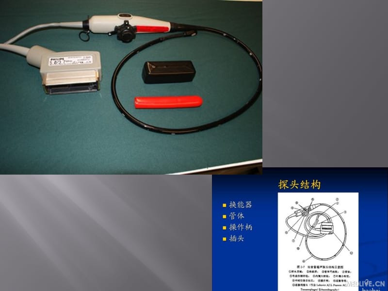 食道超声ppt课件_第2页