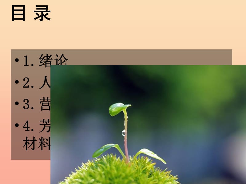 三年级科学下册 四 植物和我们 1《植物和我们的生活》课件1 新人教版.ppt_第2页