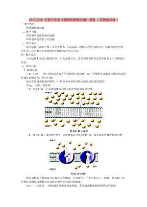 2019-2020年高中生物《物質(zhì)的跨膜運(yùn)輸》教案1 蘇教版必修1.doc