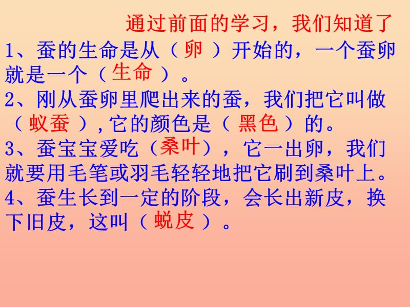 三年级科学下册 动物的生命周期 4 蛹变成了什么课件4 教科版.ppt_第3页