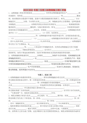 2019-2020年高一生物《動物細胞工程》學案.doc