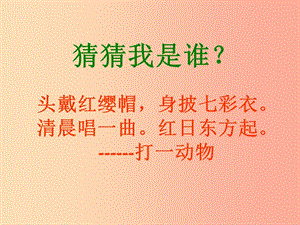 （2019年秋季版）一年級(jí)語(yǔ)文下冊(cè) 16.2 快樂的小公雞課件2 北師大版.ppt