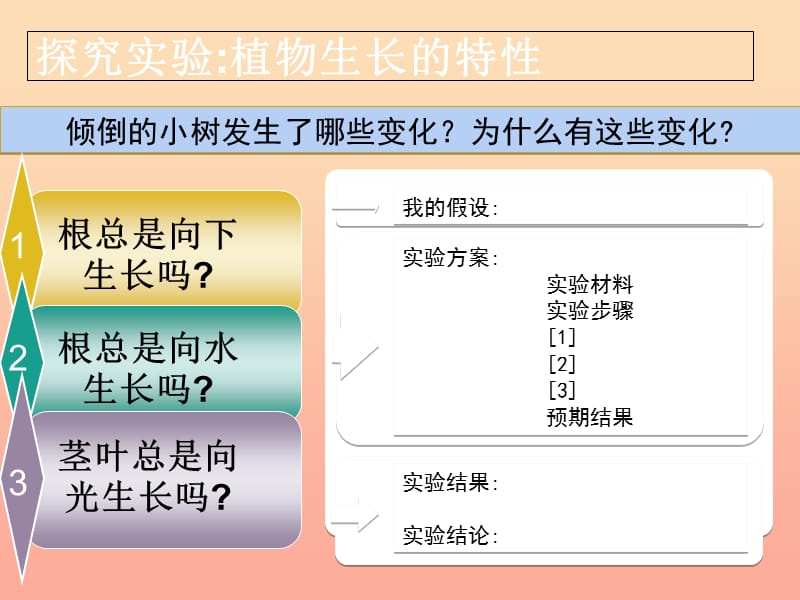 六年级科学上册 1.1 一棵顽强的小树课件3 湘教版.ppt_第3页