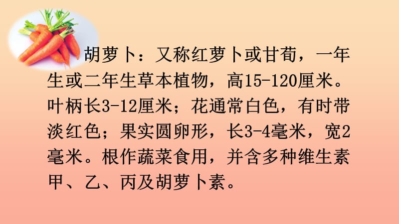 三年级语文上册第4单元13胡萝卜先生的长胡子课件新人教版.ppt_第3页