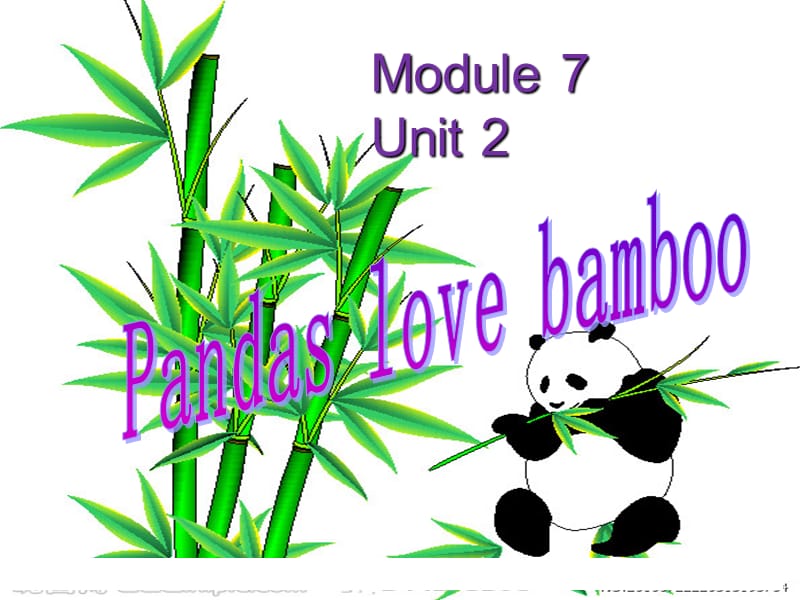 六年级英语上册 Module 7 Unit 2 pandas love bamboo课件 外研版.ppt_第2页