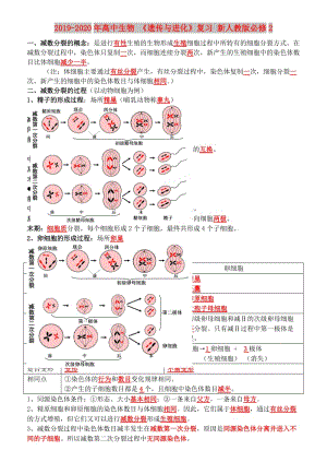 2019-2020年高中生物 《遺傳與進化》復(fù)習(xí) 新人教版必修2.doc