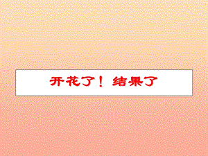 三年級科學(xué)下冊 植物的生長變化 6《開花了結(jié)果了》課件 教科版.ppt