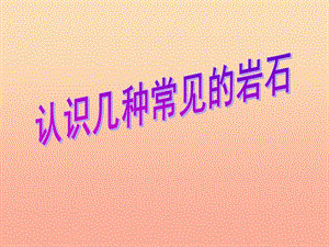 四年級科學(xué)下冊 4 巖石和礦物 2《認(rèn)識幾種常見的巖石》課件 教科版.ppt