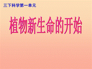 三年級科學(xué)下冊 植物的生長變化 1 植物新生命的開始課件1 教科版.ppt