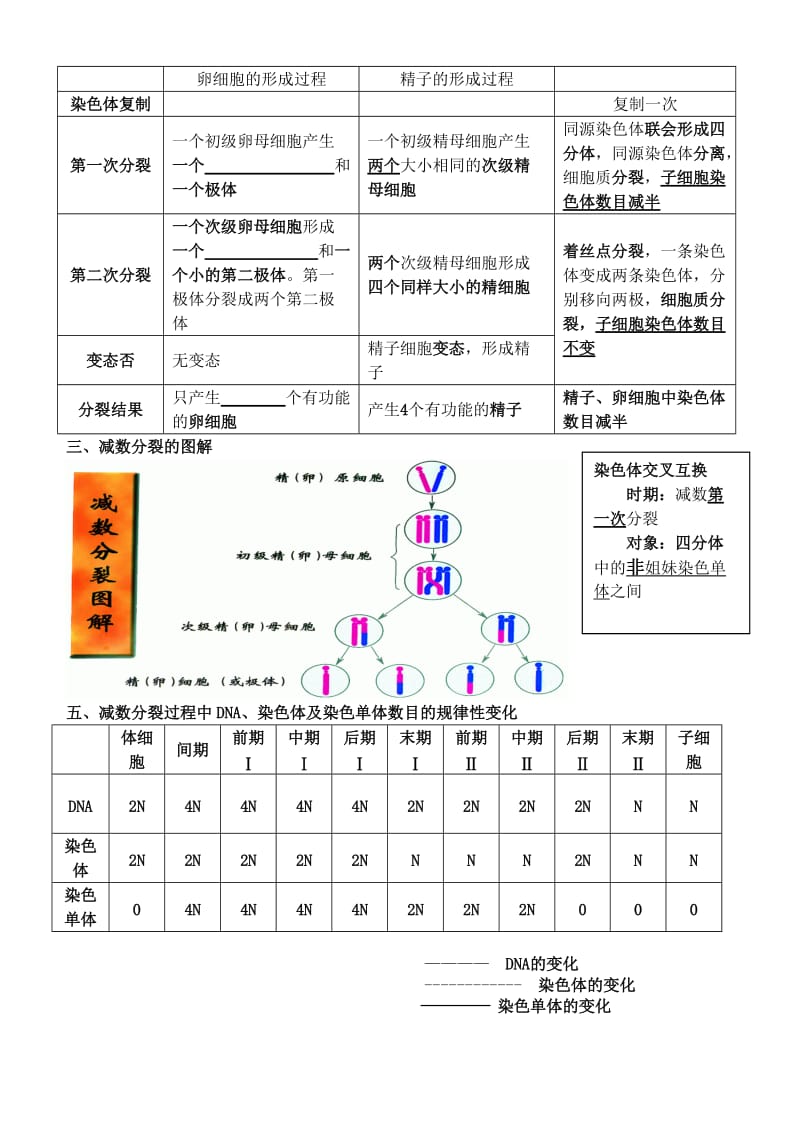 2019-2020年高中生物 《减数分裂和受精作用》教案3 新人教版必修2.doc_第3页