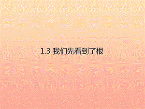 三年級科學下冊 植物的生長變化 3我們先看到了根課件 教科版.ppt