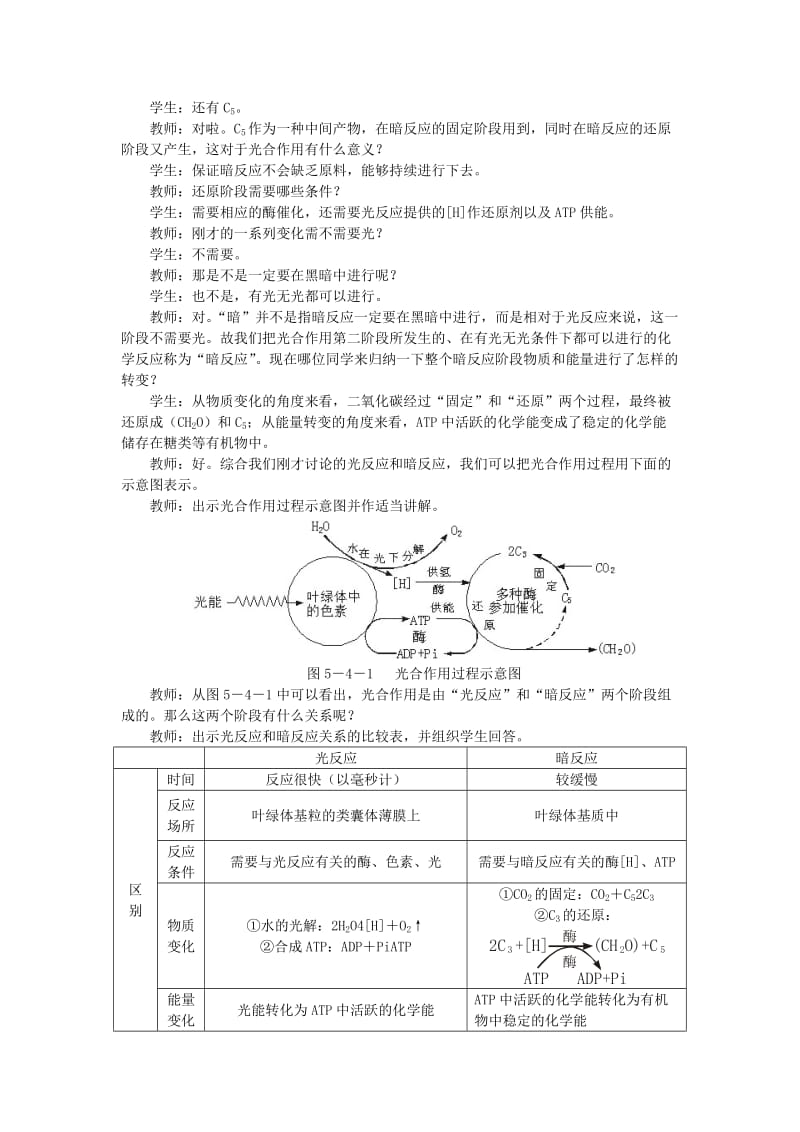 2019-2020年高中生物 能量之源——光与光合作用 第2课示范教案 新人教版.doc_第3页