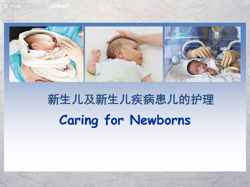 新生儿及新生儿疾病患儿的护理 ppt课件_第1页