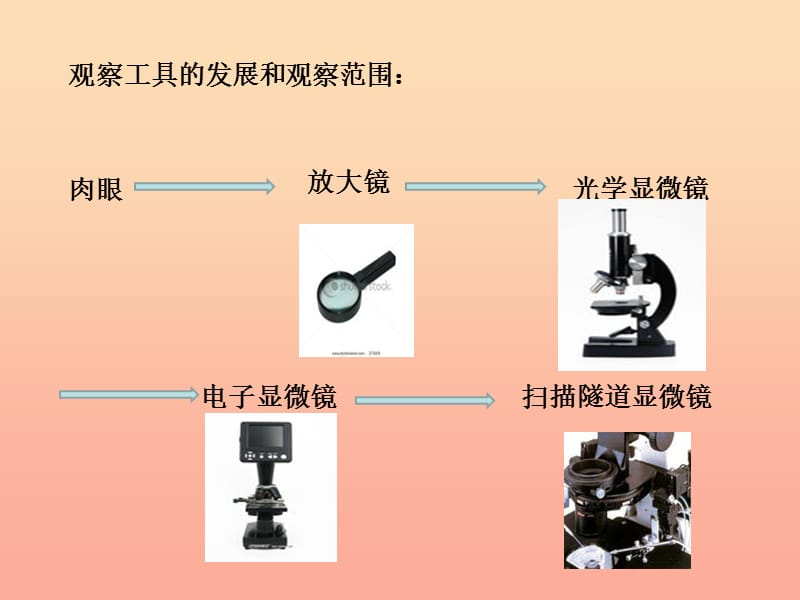 六年级科学下册 第一单元 微小世界 8 微小世界和我们课件7 教科版.ppt_第2页