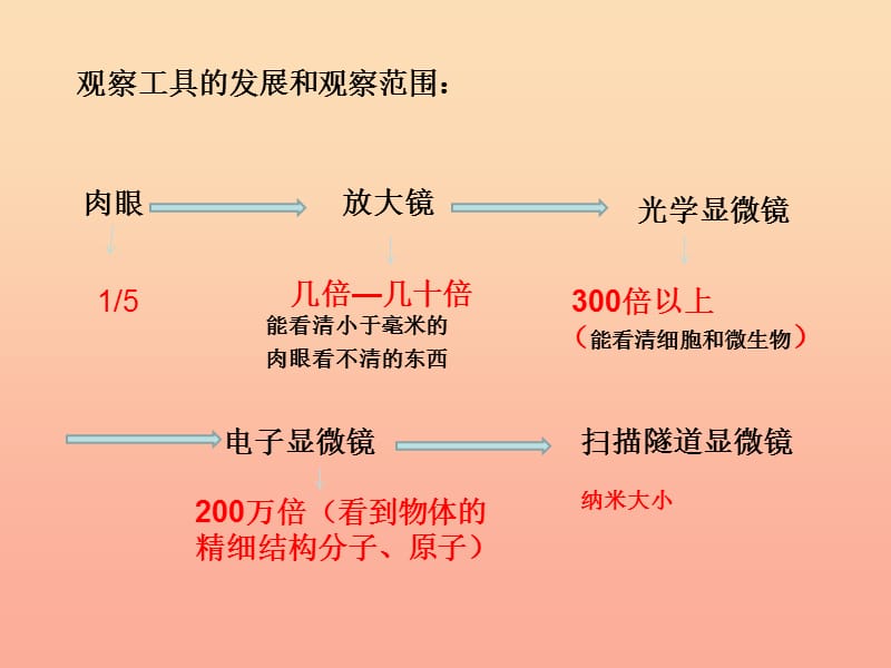 六年级科学下册 第一单元 微小世界 8 微小世界和我们课件7 教科版.ppt_第3页