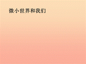 六年級科學(xué)下冊 第一單元 微小世界 8 微小世界和我們課件7 教科版.ppt