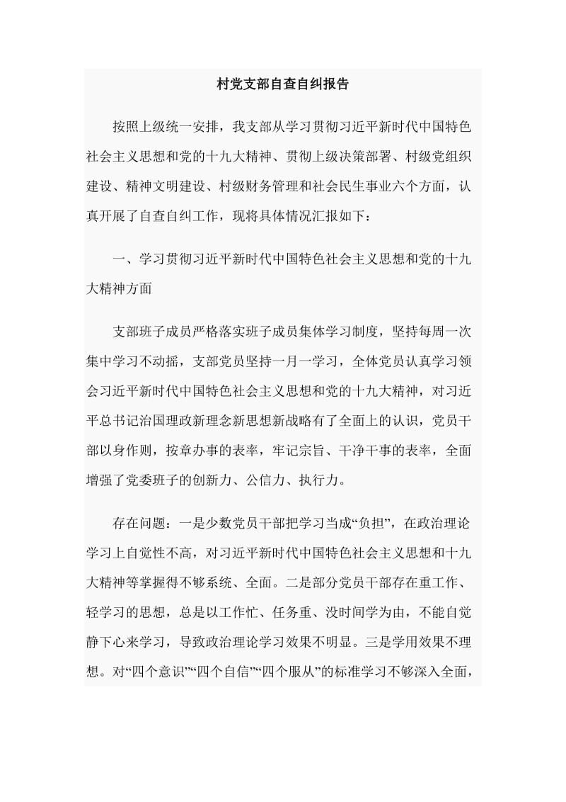 村党支部自查自纠报告.docx_第1页