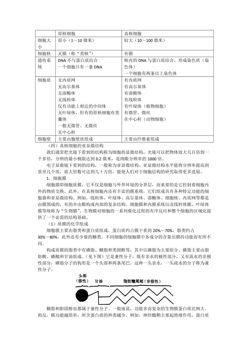 2019-2020年高中生物 第八讲 细胞生物学竞赛辅导讲座.doc_第3页