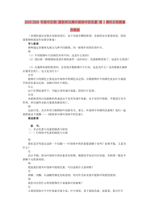 2019-2020年高中生物 提取和分離葉綠體中的色素 第2課時示范教案 蘇教版.doc