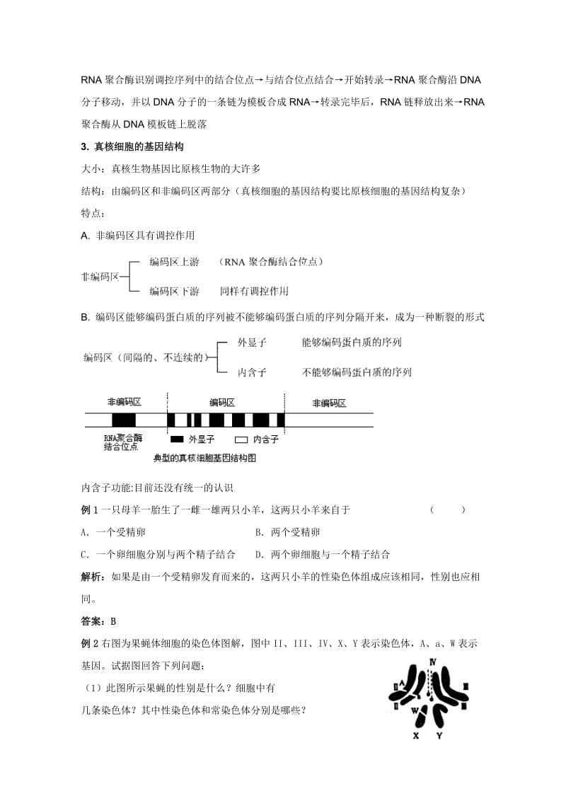 2019-2020年高三生物总复习 第22讲认识基因教案.doc_第3页