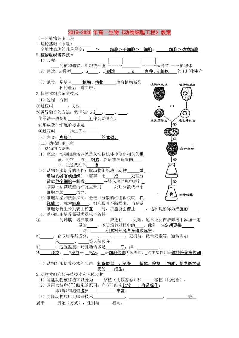 2019-2020年高一生物《动物细胞工程》教案.doc_第1页