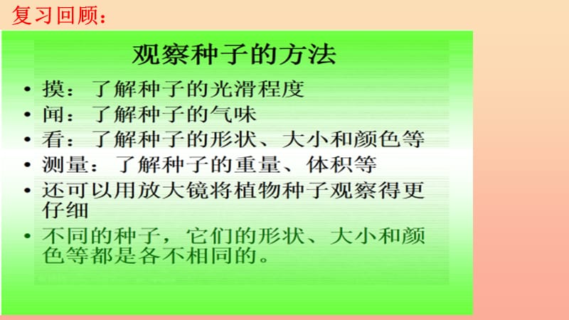 三年级科学下册 植物的生长变化 2 种植我们的植物课件1 教科版.ppt_第3页