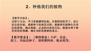 三年級科學(xué)下冊 植物的生長變化 2 種植我們的植物課件1 教科版.ppt