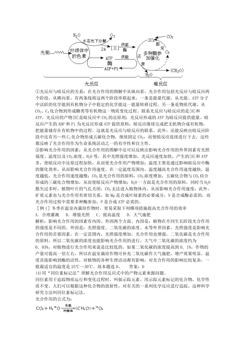 2019-2020年高三生物二轮复习 光合作用教案1 人教版.doc_第2页