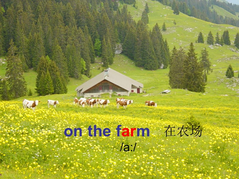 一年级英语上册 Unit 10 On the farm课件2 牛津上海版.ppt_第3页