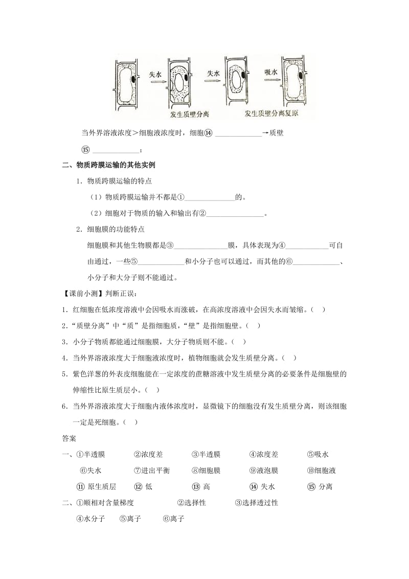 2019-2020年高中生物 4.1 物质跨膜运输的实例 新人教版.doc_第2页