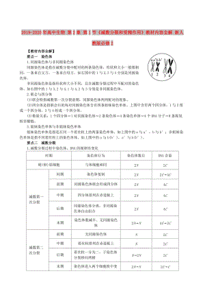 2019-2020年高中生物 第2章 第1節(jié)《減數(shù)分裂和受精作用》教材內(nèi)容全解 新人教版必修2.doc