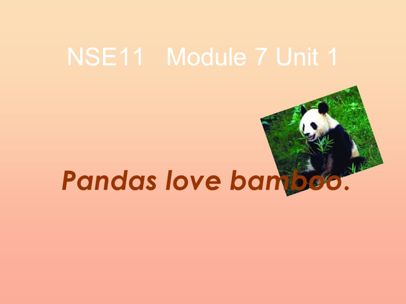 六年级英语上册 Unit 1 Pandas love bamboo课件1 外研版.ppt_第1页